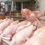 Broiler meat