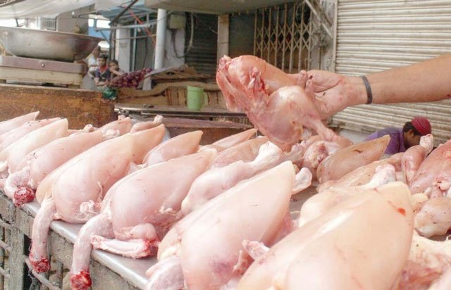 Broiler meat