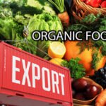 organic food
