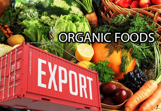 organic food
